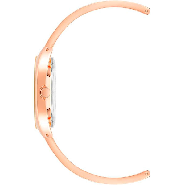 Anne Klein 4040RGBH